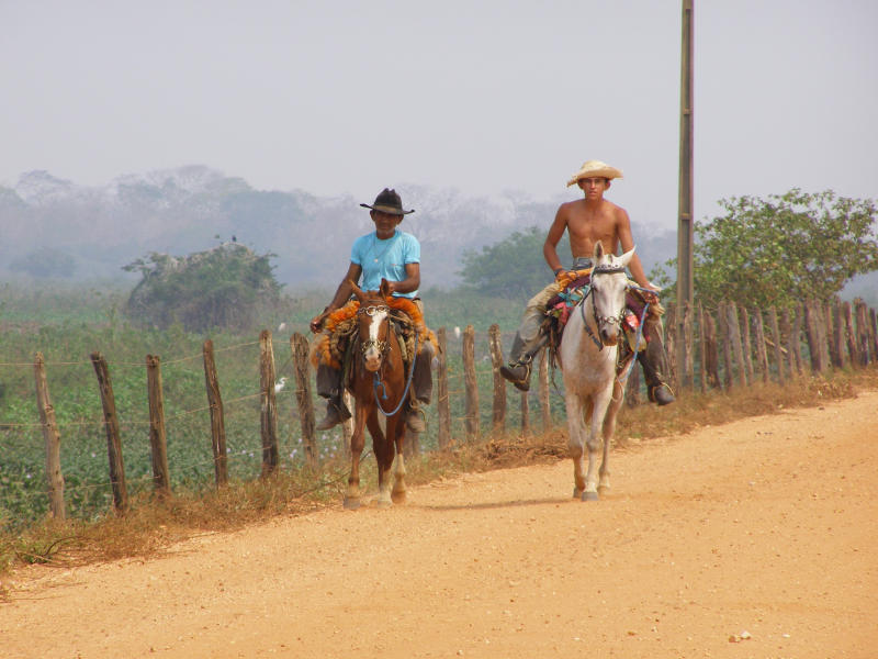 Gauchos im Pantanal