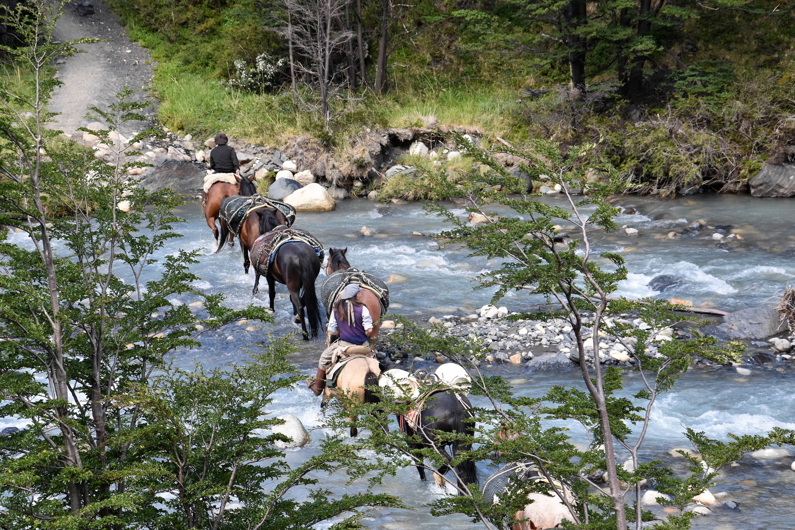 gauchos im torres del paine np