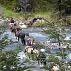 gauchos im torres del paine np