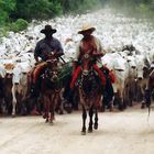 Gauchos (Pantanal, Brasilien)