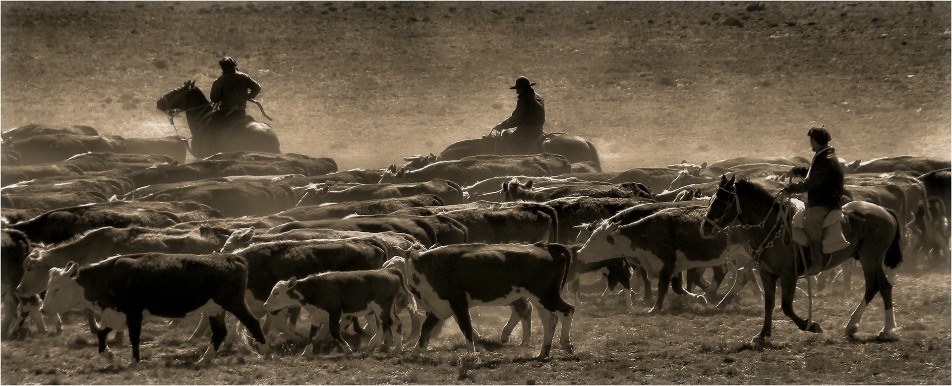 GAUCHOS PATAGONICOS