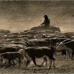 GAUCHOS PATAGONICOS