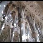 Gaudi -Arbres dans la cathédrale