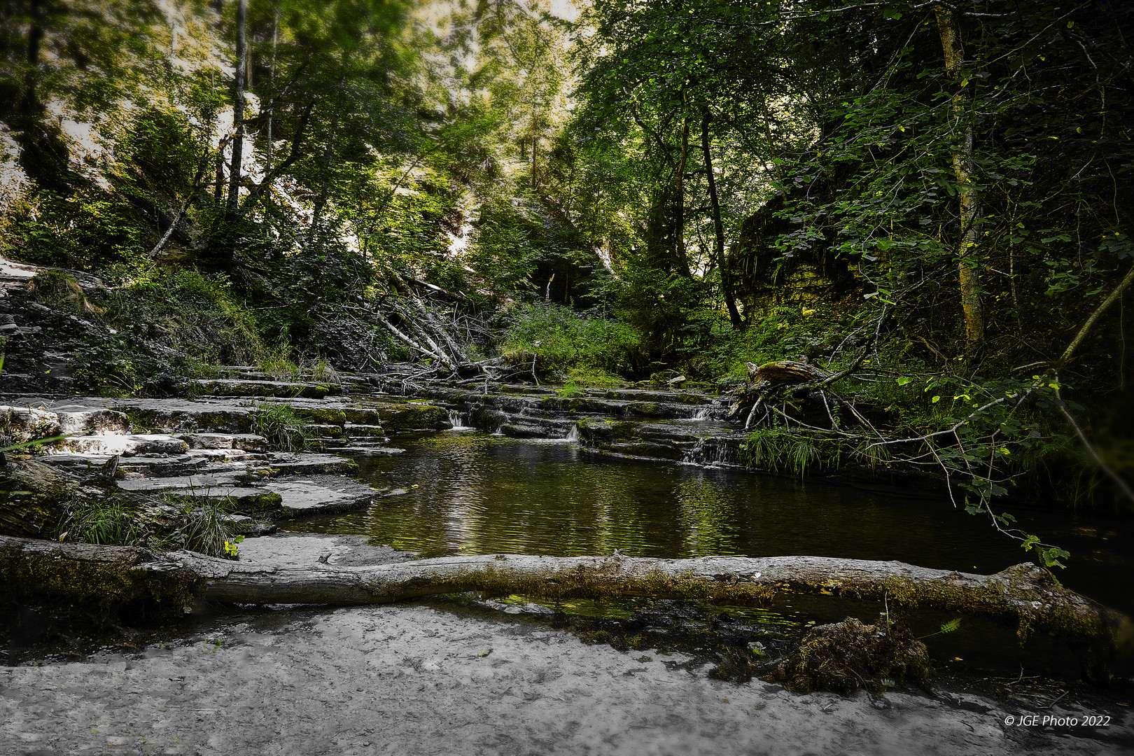 Gaugach umrahmt vom Wald