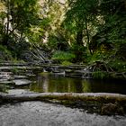 Gaugach umrahmt vom Wald