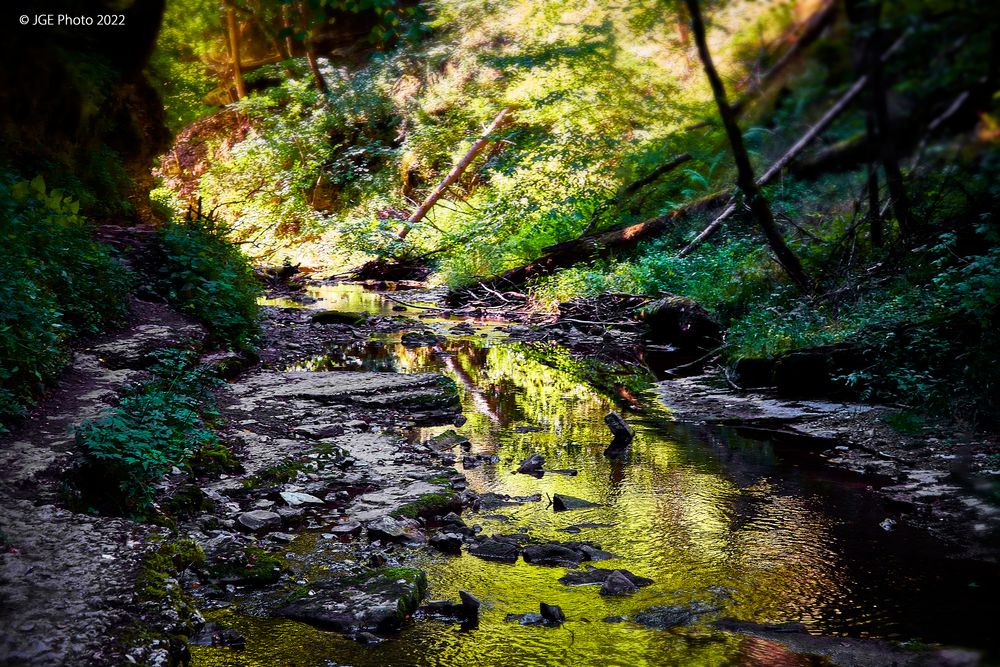 Gaugachschlucht