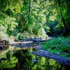 Gaugachschlucht mit Spiegelung