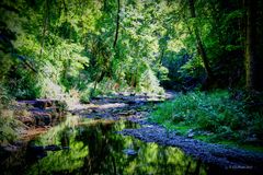 Gaugachschlucht mit Spiegelung