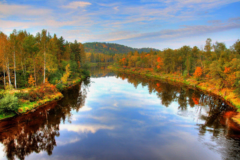 Gauja