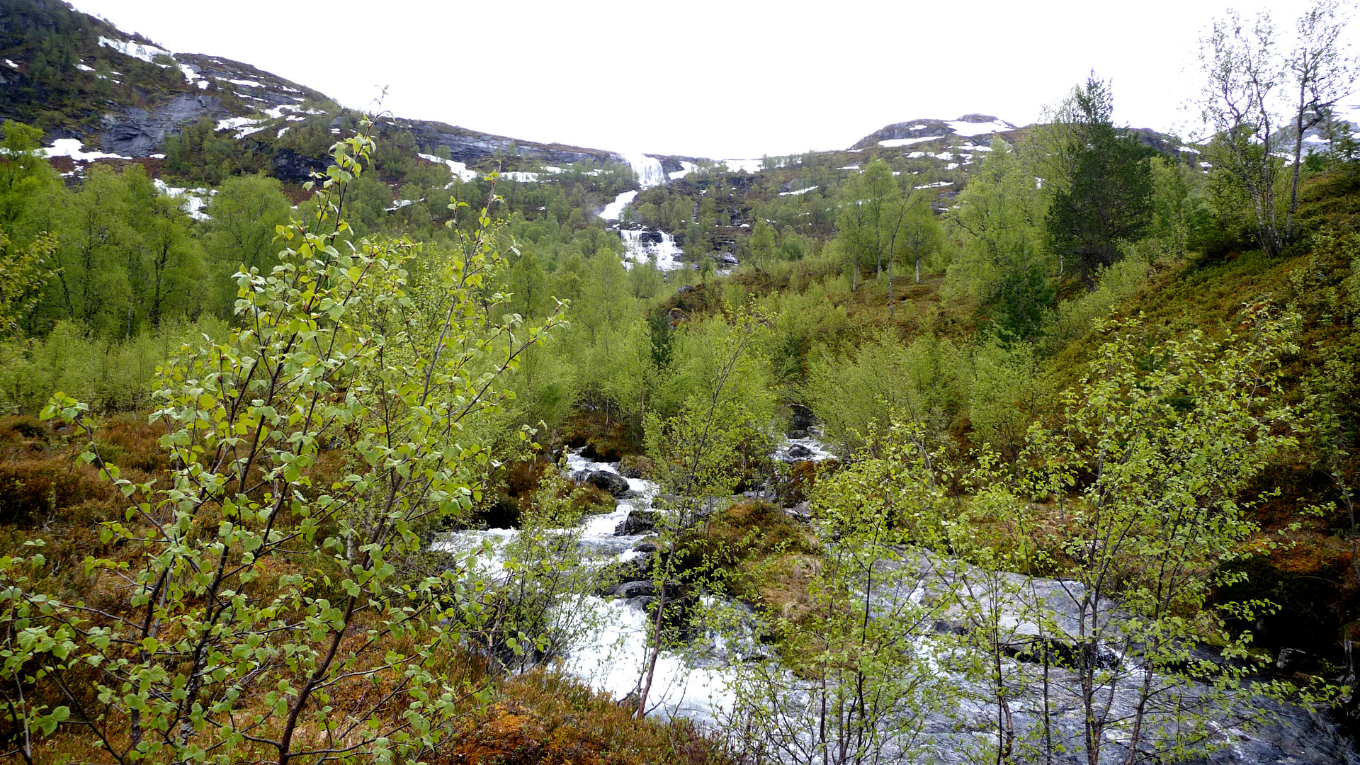 Gaularfjell