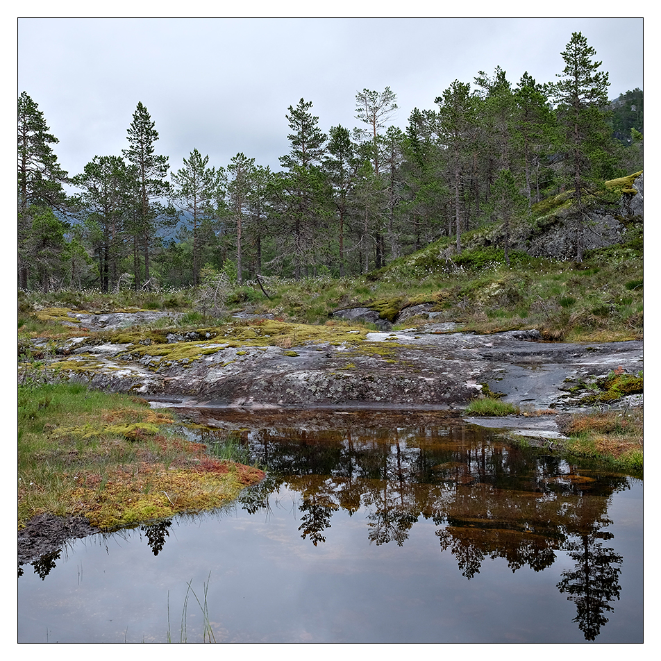 [ gaularfjellet ]