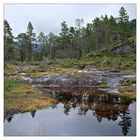 [ gaularfjellet ]