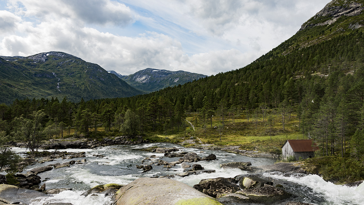 Gaularfjellet