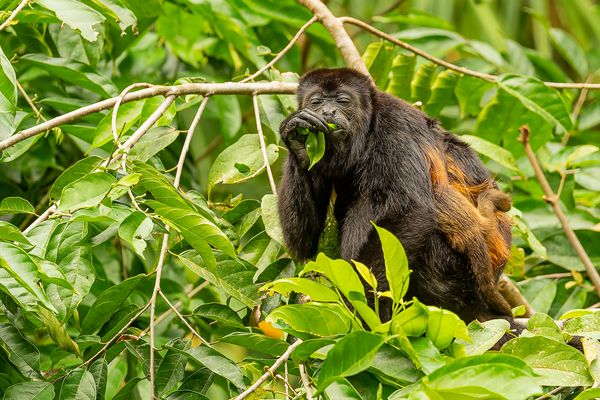 °°_Gaumenfreuden_°°