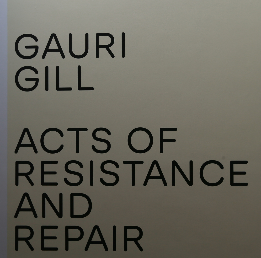 Gauri Gill  -  ACTS OF RESISTANCE AND REPAIR