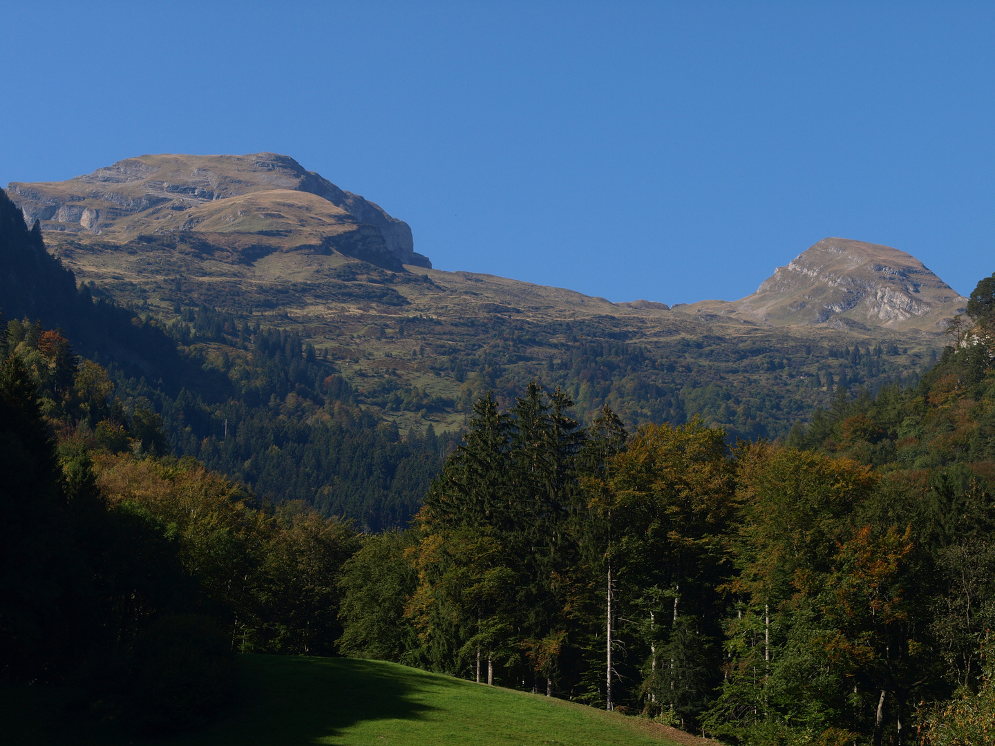 Gauschla und Alvier im Herbstgewand