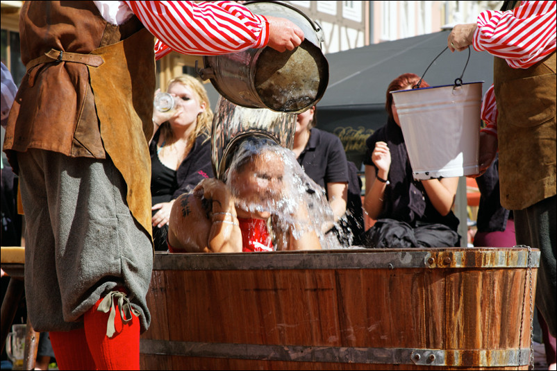 Gautschen im Hessenpark 2009