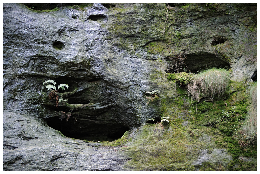 Gautschgrotte & Umgebung 1