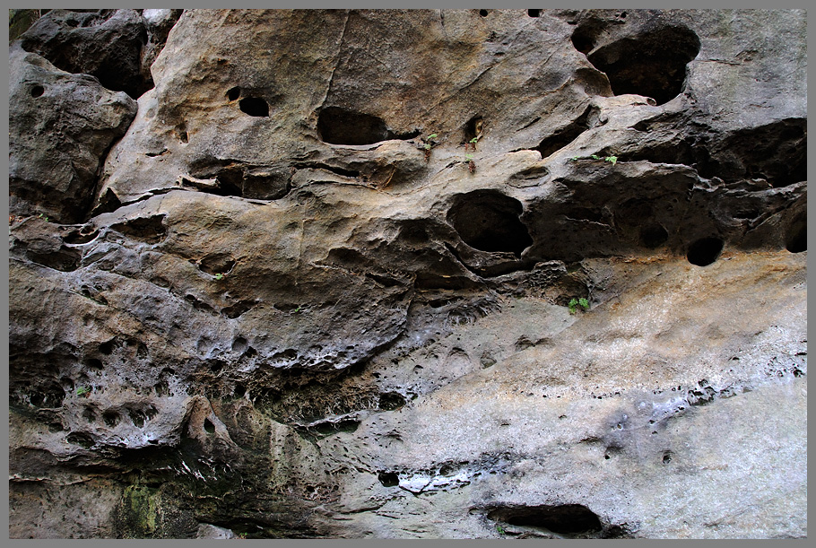 Gautschgrotte & Umgebung 3