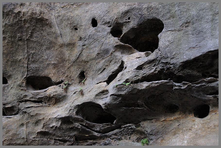 Gautschgrotte & Umgebung 4