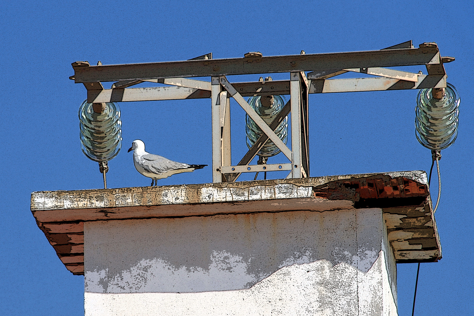 GAVIOTA