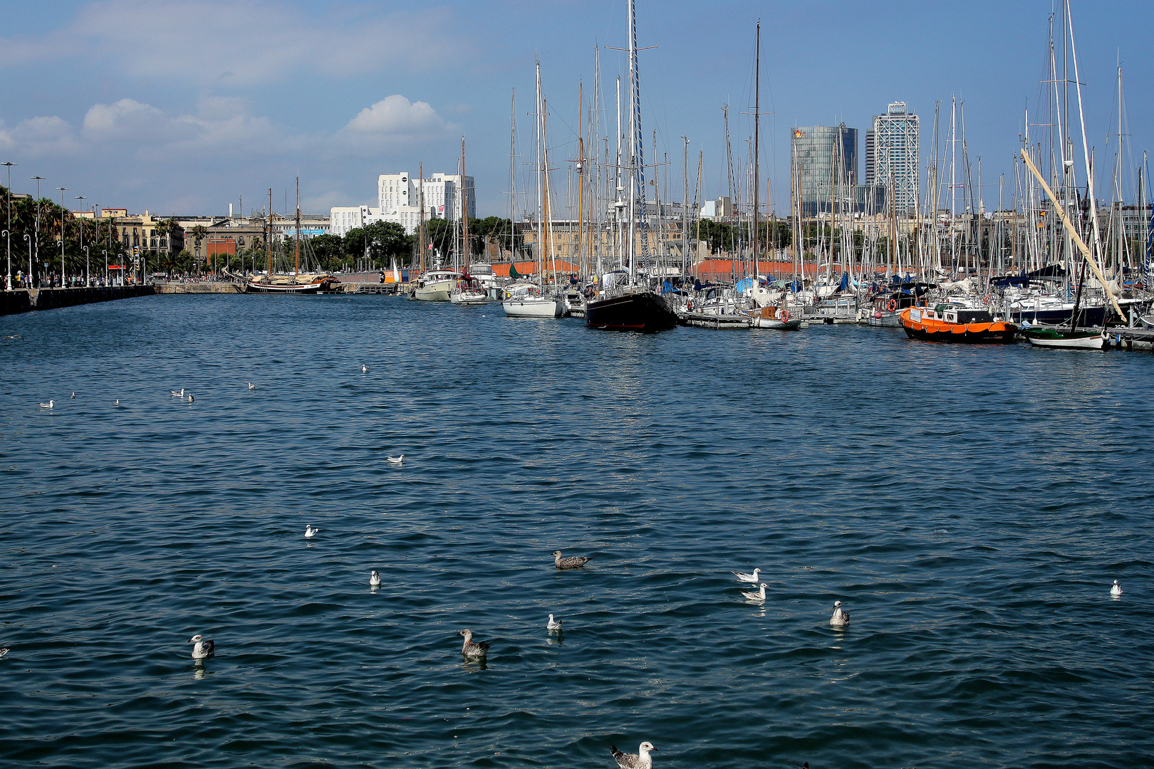 GAVIOTAS