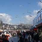 ...gaviotas en el bazar...