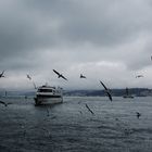 ...gaviotas en el Mar Negro...