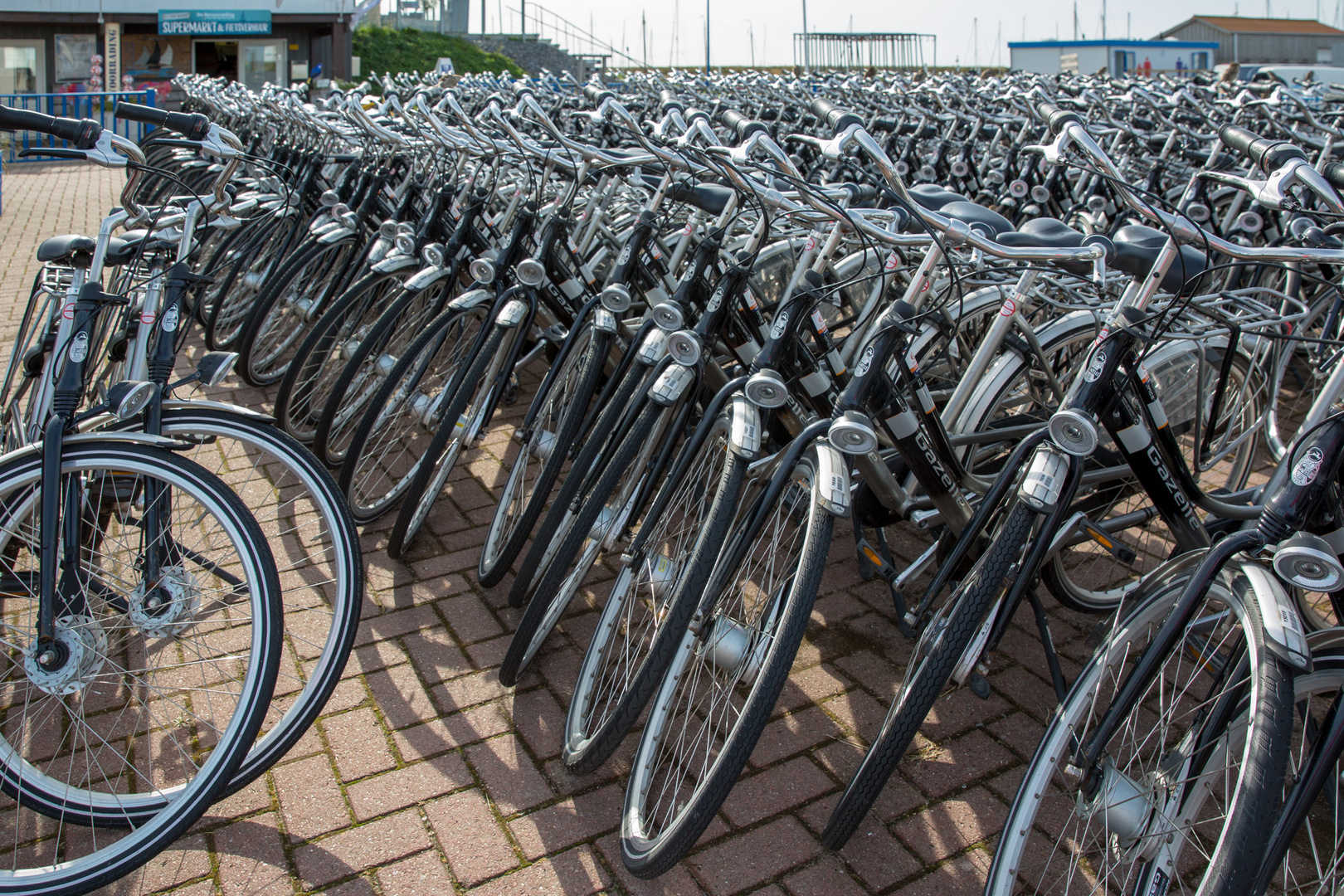 Gazellen Foto & Bild europe, benelux, autos & zweiräder Bilder auf