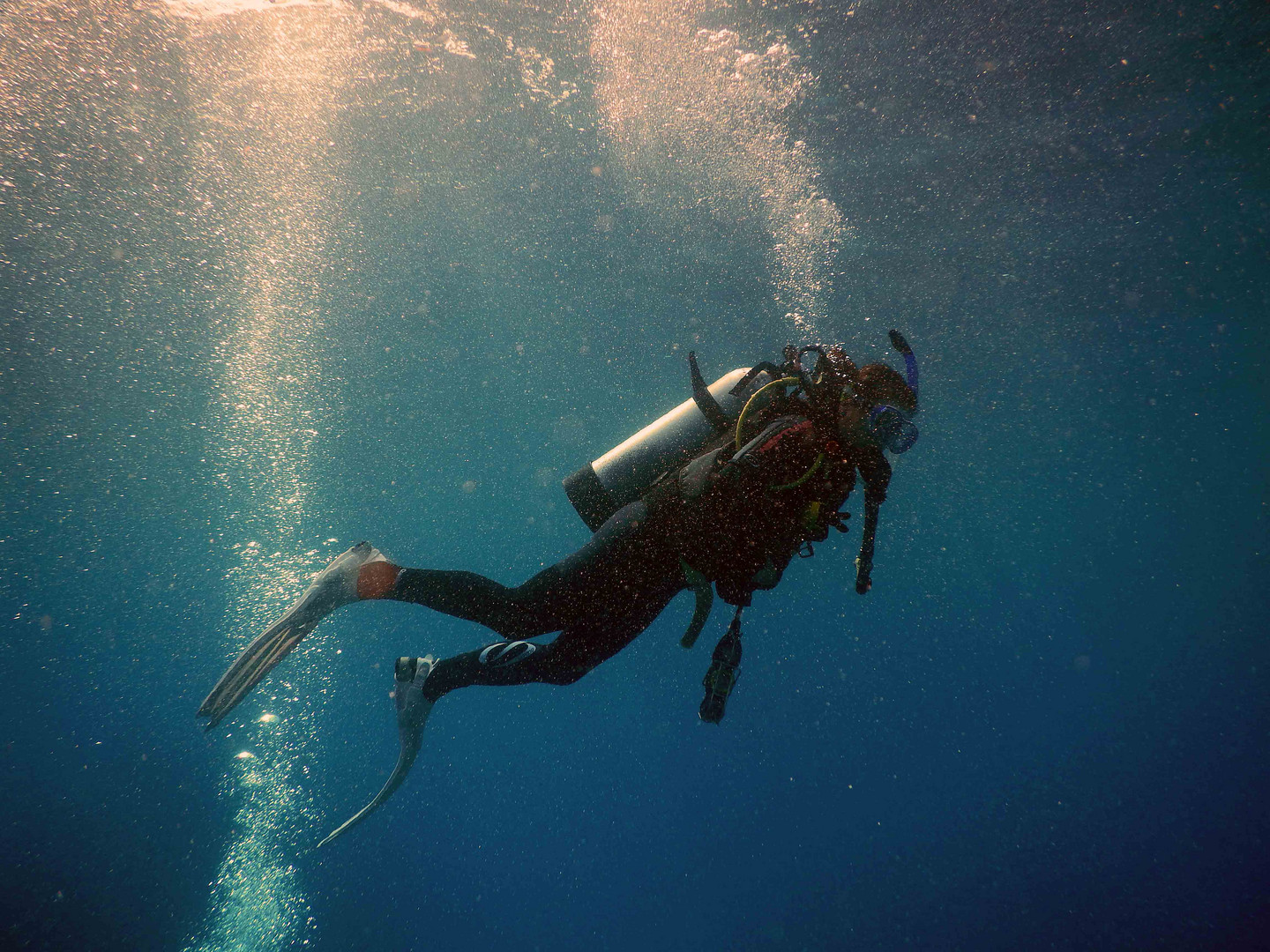 GBR diving