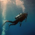 GBR diving