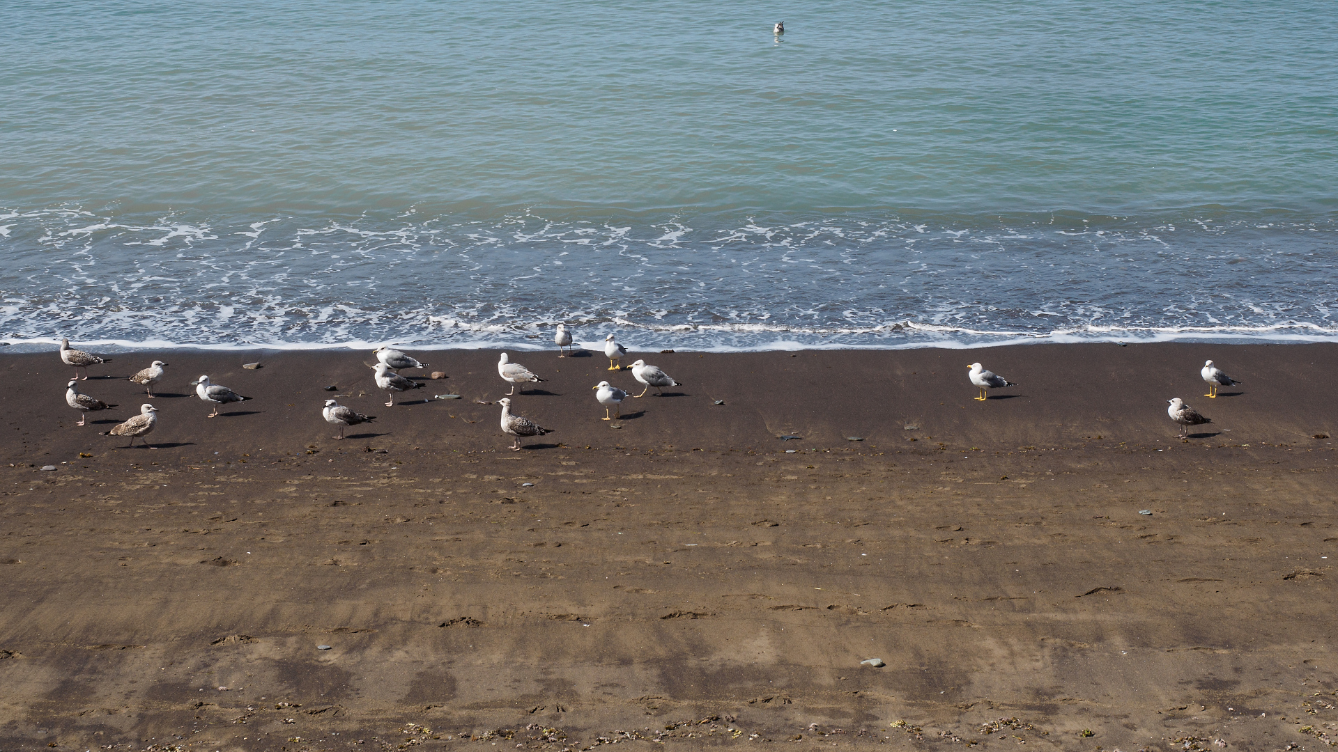 GC Arguineguin Strand