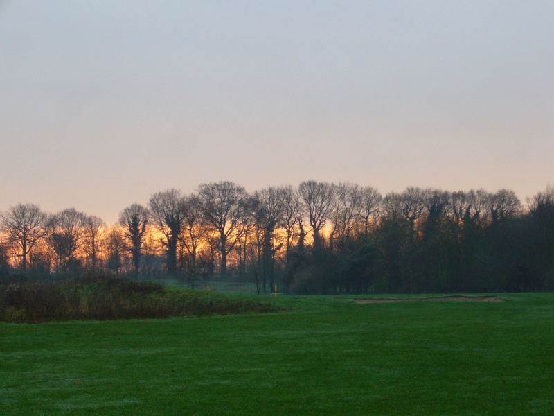 GC Schloß Westerholt Loch 5