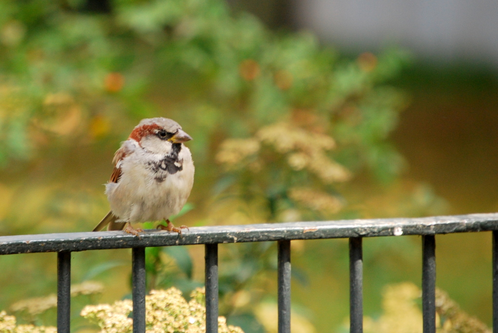 geändert