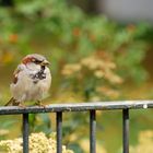 geändert