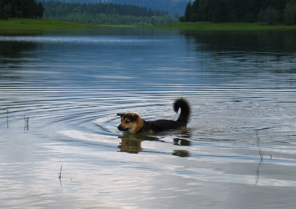 Gebadet wird bei jedem Wetter