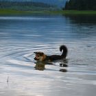 Gebadet wird bei jedem Wetter