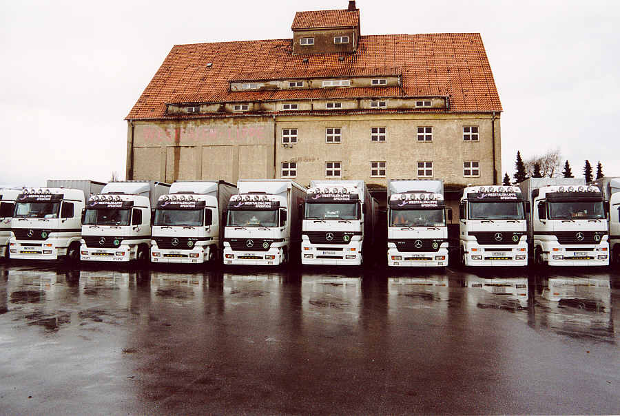 geballte Brummi - Power