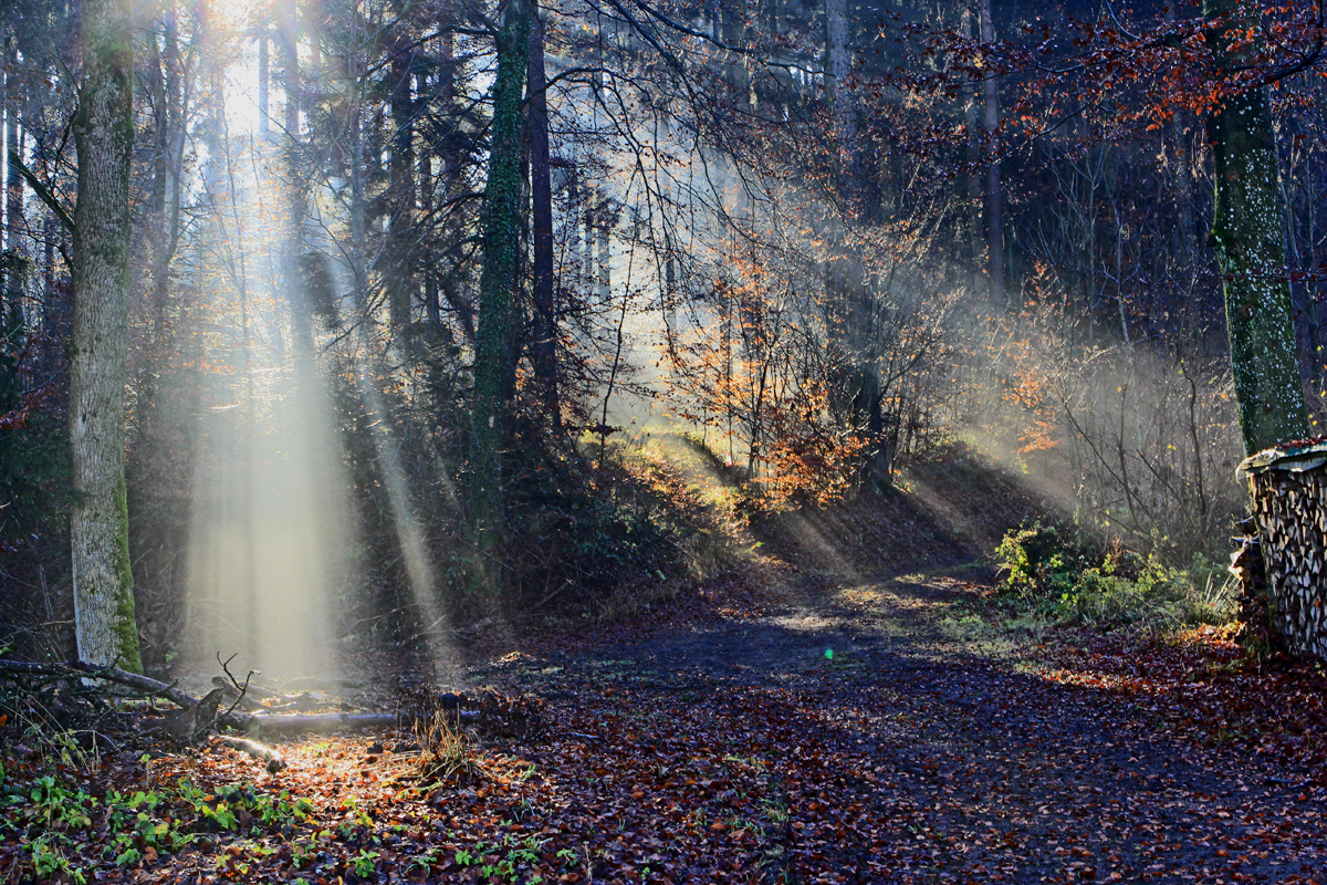 Geballte Energie