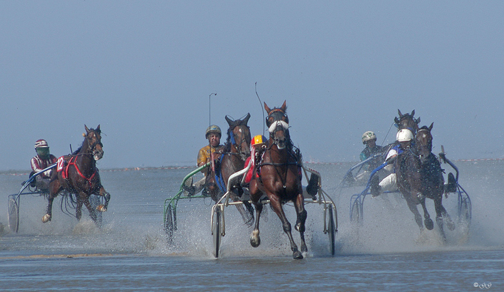 Geballte Kraft im Duhner Watt/Cuxhaven