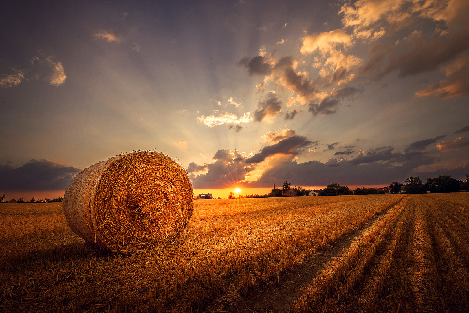 geballter Sommer