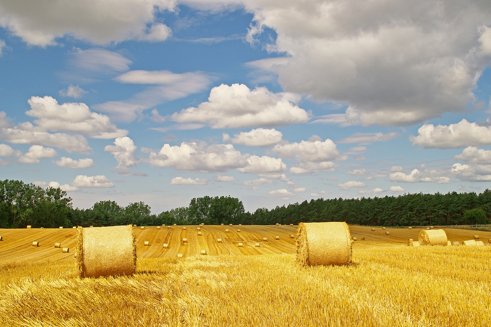 geballtes Feld