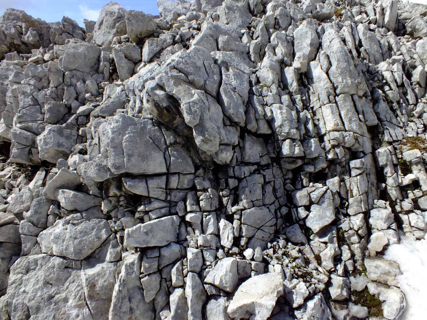 Gebankter Wettersteinkalk / Zugspitzmassiv