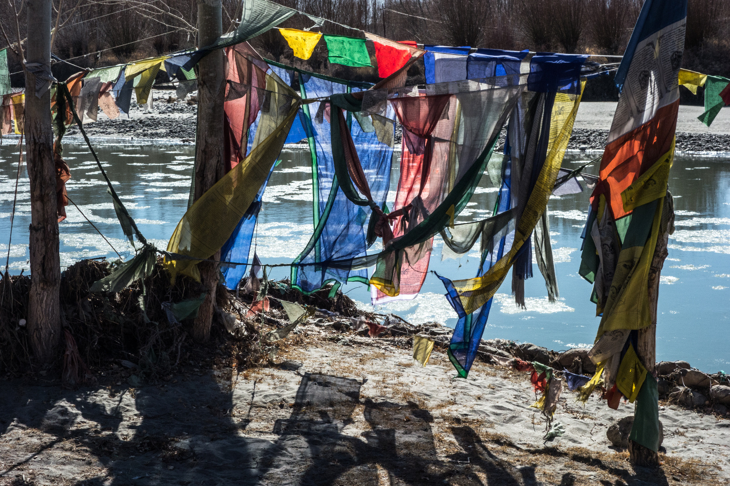 Gebetsfahnen am Indus, Ladakh