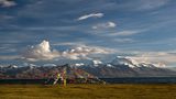 Gebetsfahnen am Manasarovar See von Lichtbilder 