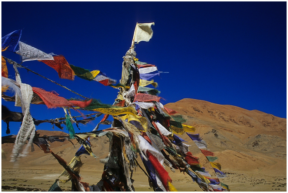 Gebetsfahnen auf einem kleinen Paß in Richtung Tso Moriri, Ladakh