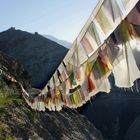 gebetsfahnen in ladakh