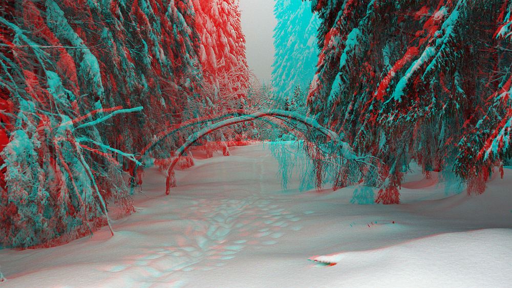 Gebeugt von der Last des Winters (3-D Bild)