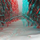 Gebeugt von der Last des Winters (3-D Bild)