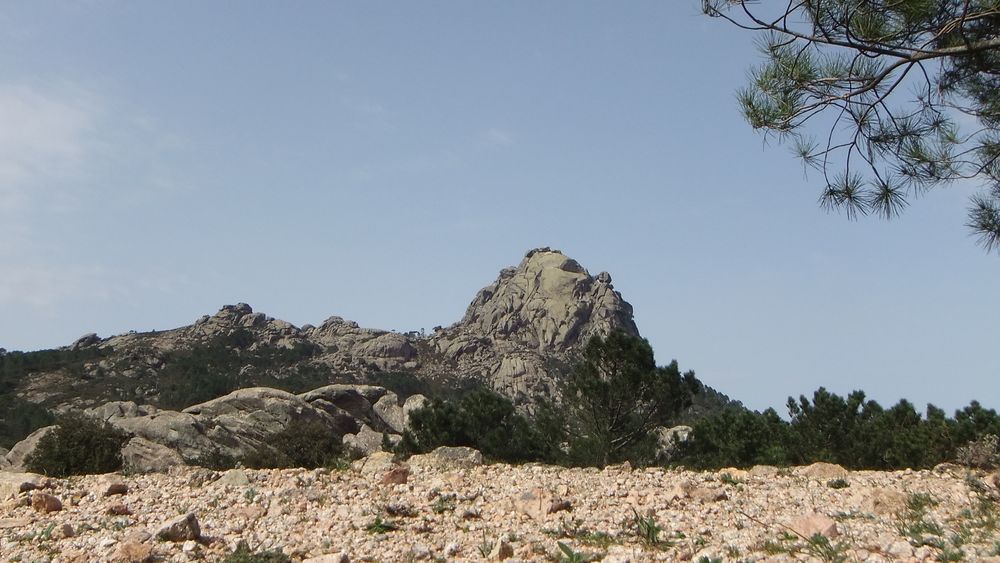 Gebirge bei Zonza aus der Ameisenperspektive (auch in 3D)